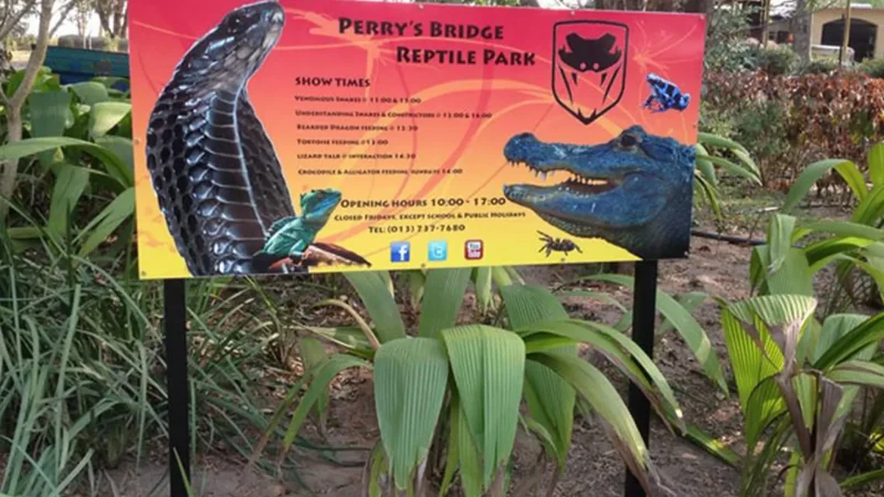 Hazyview_Reptile_Park_тАУ_Family-friendly_attraction_01