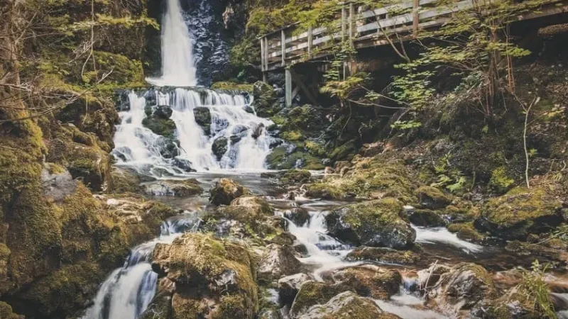 Head Pond Trail – Waterfall and forest walk(5)