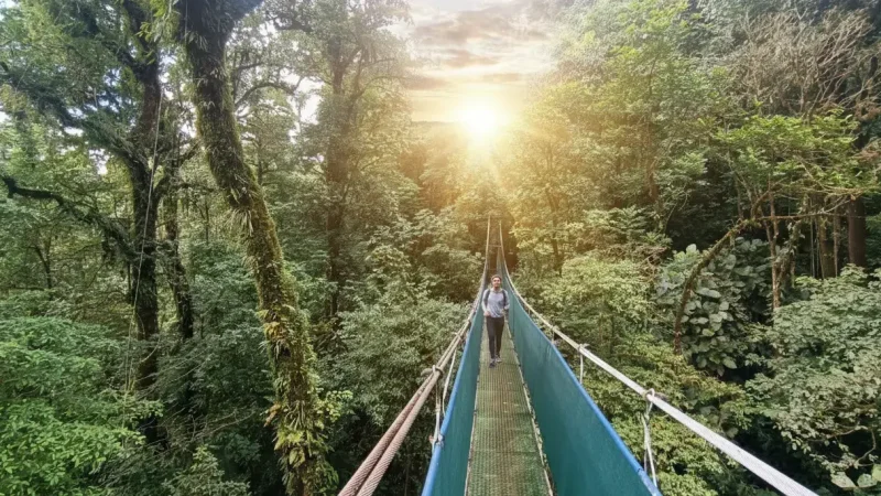 Heliconias Rainforest Lodge (1)