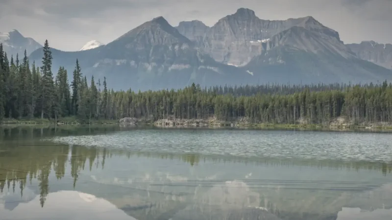 Herbert Lake(4)
