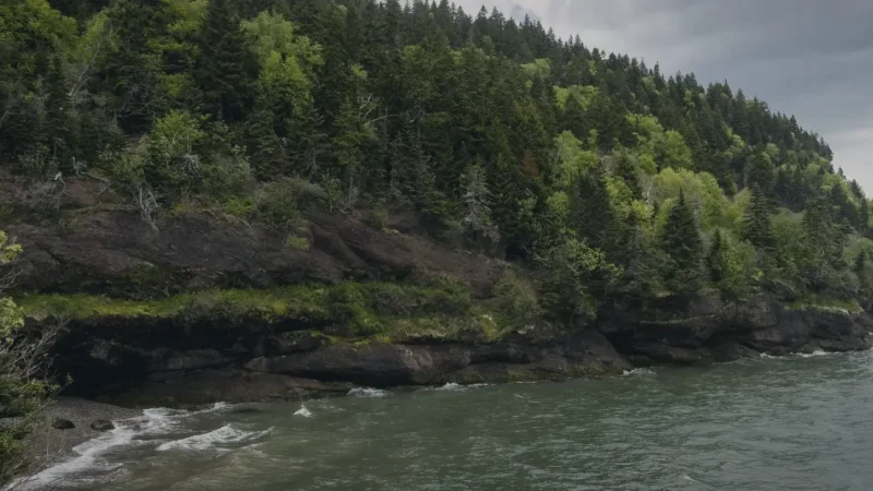 Herring Cove Beach – Coastal walking area(4)