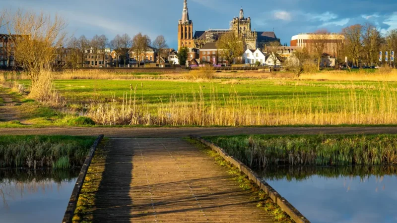 Het_Bossche_Broek_Nature_Reserve_04