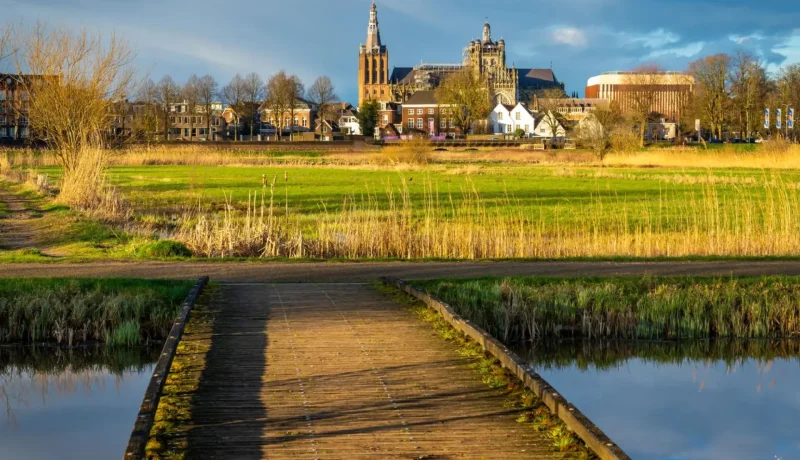 Het_Bossche_Broek_Nature_Reserve_04