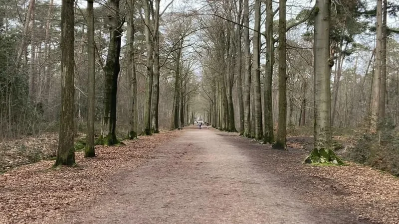 Het_Mastbos_06