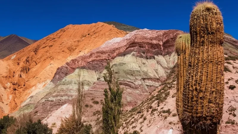 High-Altitude Landscapes – Open desert scenery(5)