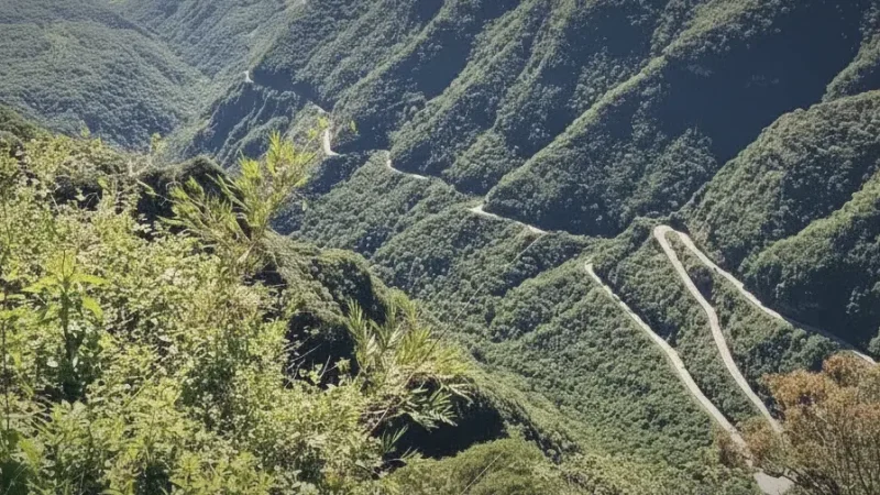 High Altitude Views – Valley scenery(1)