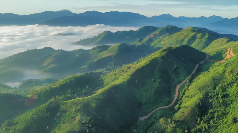 Highland Villages(5)