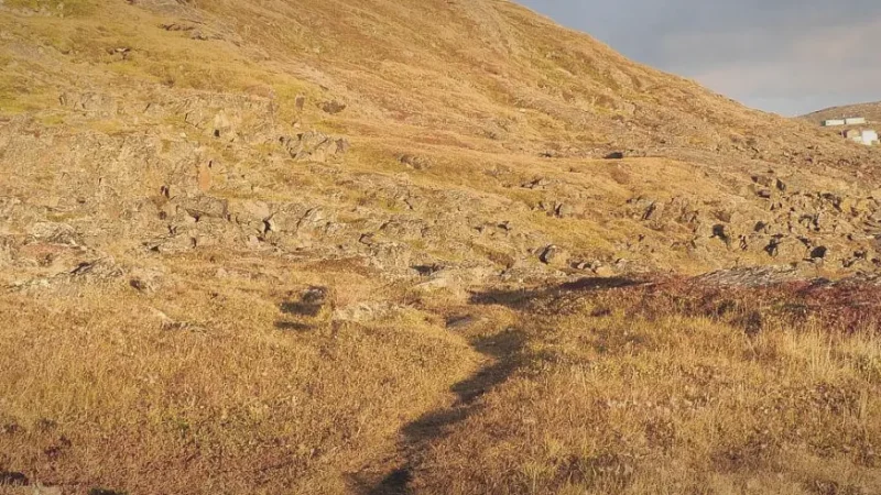 Hiking Areas – Summer tundra walks(1)