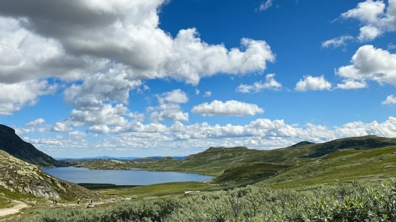 Hiking Trails – Easy to Moderate Walks(2)