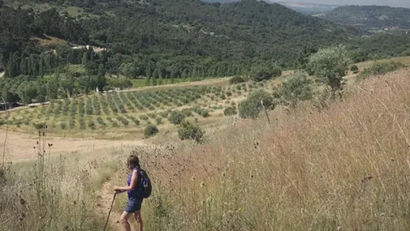 Hiking Trails – Nature paths across the park(1)