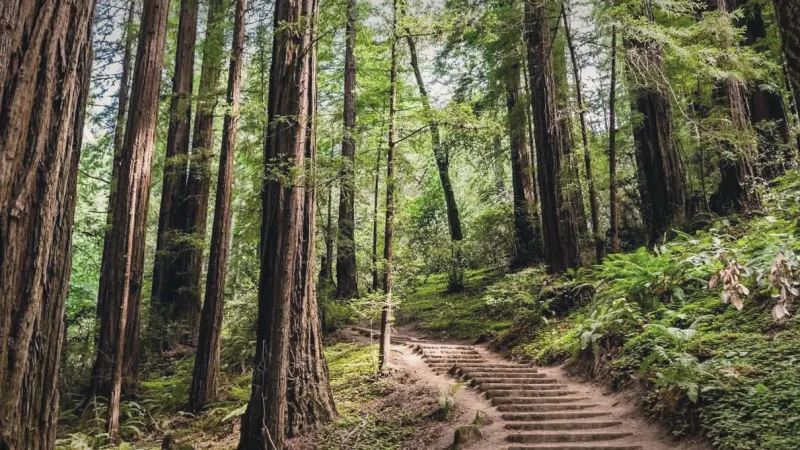 Hiking Trails(3)