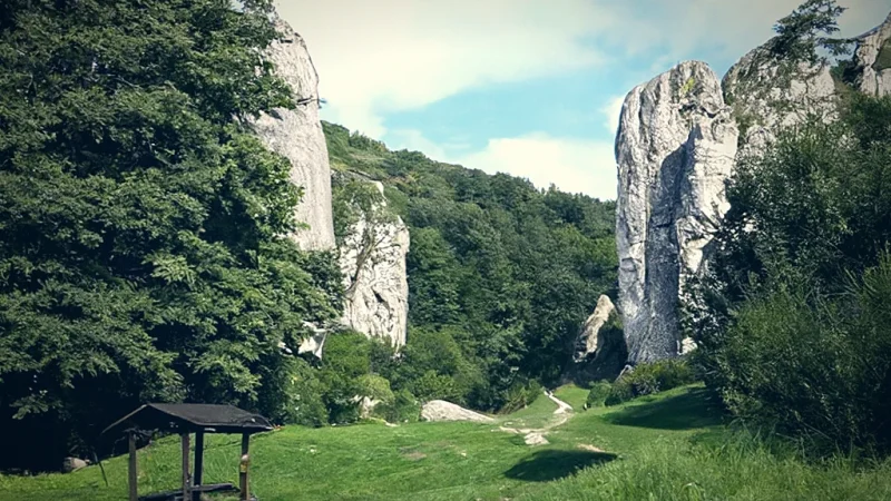 Hiking trails(1)