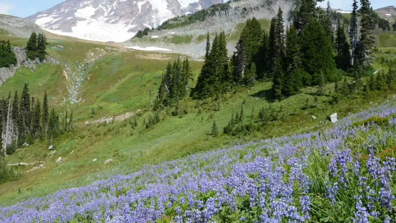 Hiking_Trails_тАУ_Nature_walks_03