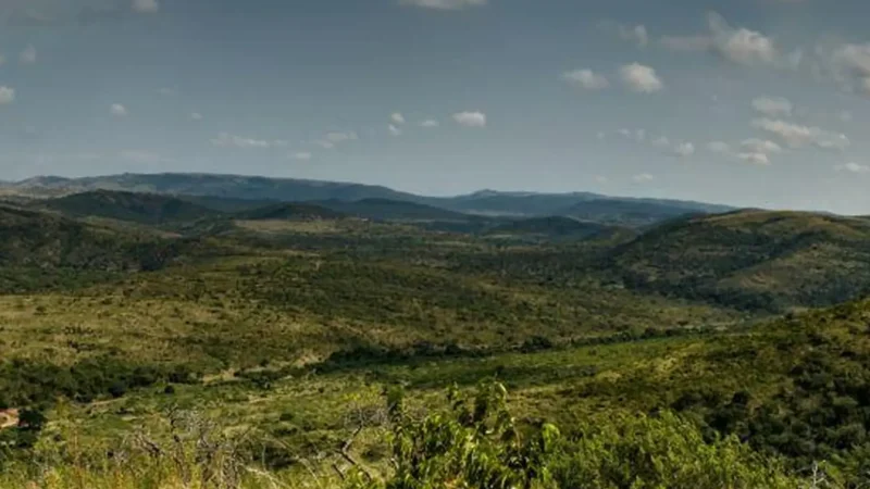 Hilltop_Viewpoints_тАУ_Panoramic_savannah_views_01