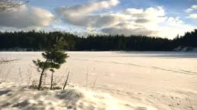 Hjulkvarnelund Nature Area(2)