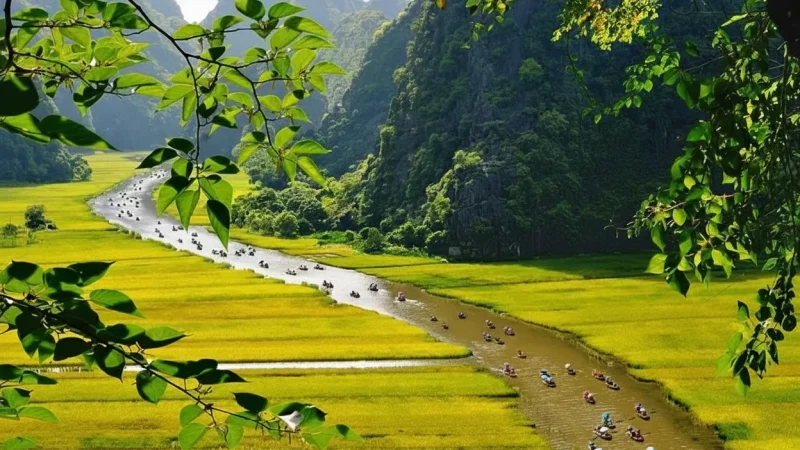 Hoa Lư Local Countryside Villages(2)