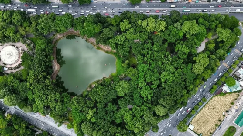 Hoang Van Thu Park (Border Area)(5)