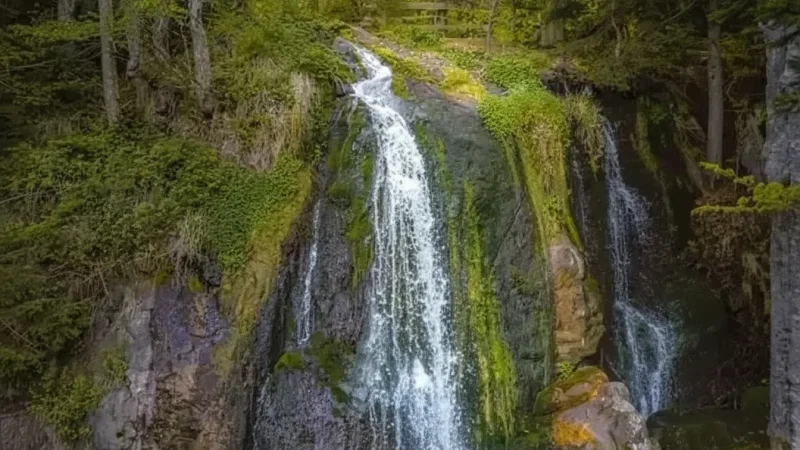 Hohwald Waterfalls – Forest Area(2)