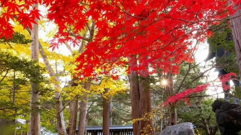 Hokkaido Shrine(2)
