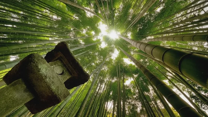 Hokoku-ji Temple (Bamboo Temple)(1)