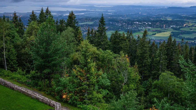 Holmenkollen Viewpoint – Panoramic Views of Oslo & Fjord(3)