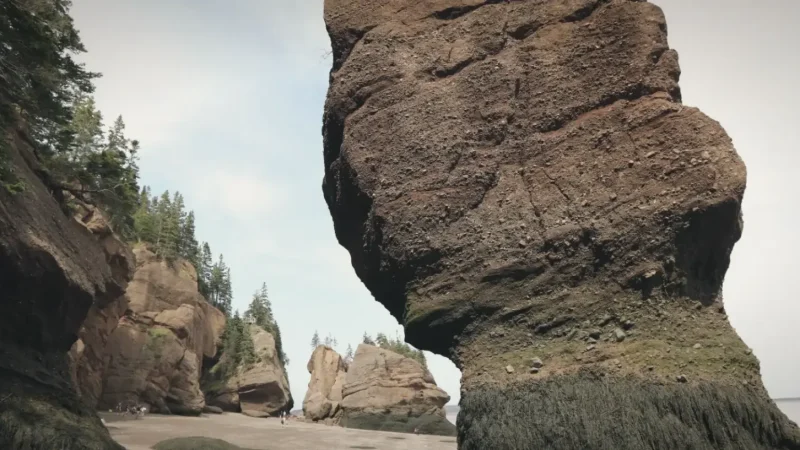 Hopewell Rocks Flowerpot Formations(3)