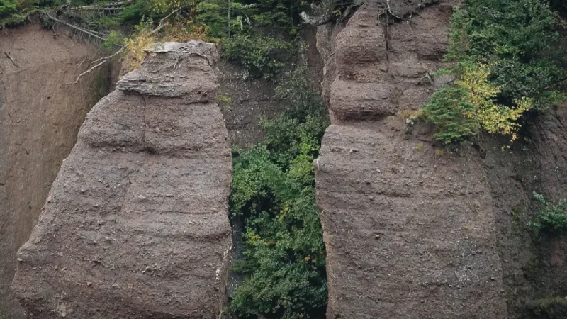 Hopewell Rocks – Flowerpot rock formations(1)