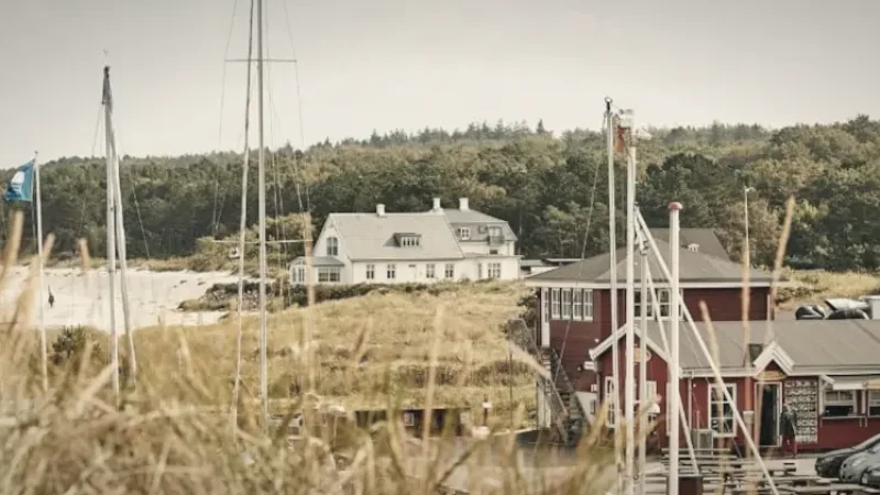 Hornbæk Beach – Sandy coastline and swimming area(3)