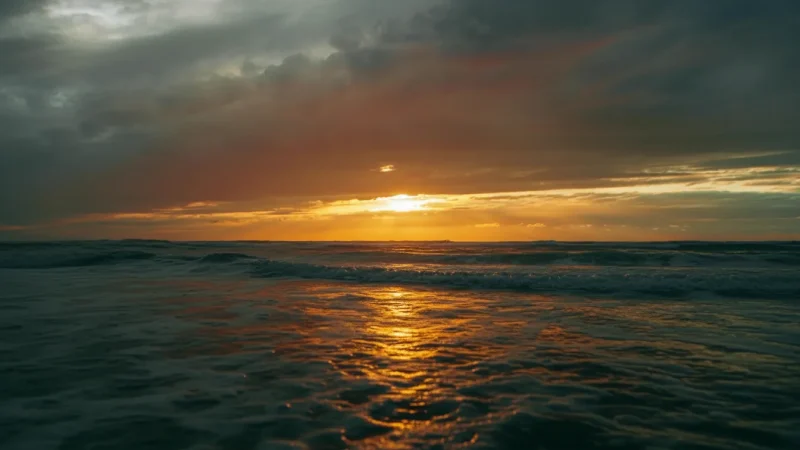 Hossegor Beach – World-famous surf destination(4)