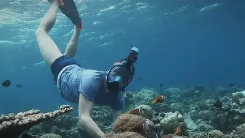 House Reef Snorkelling Area(6)