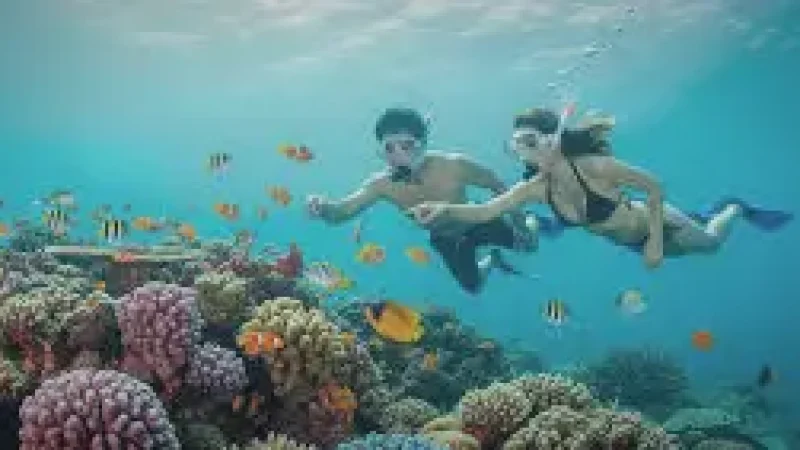 House Reef – Snorkeling with colorful mar(6)