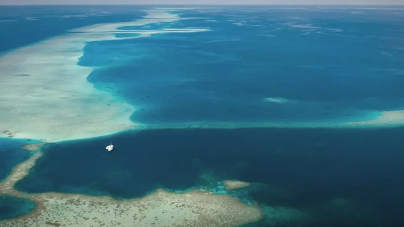 House Reef(4)