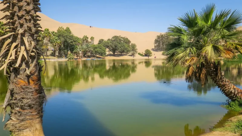 Huacachina_Lagoon_–_Palm-lined_desert_oasis_lake__05