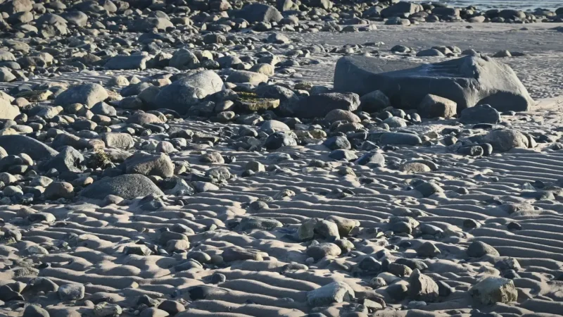 Hudson Bay Coastline(4)