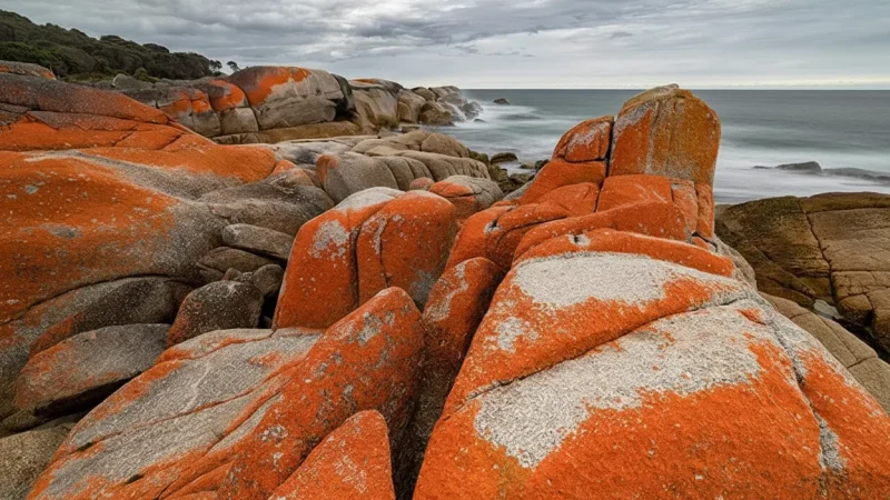 Humbug Point – Orange Granite Rocks(3)