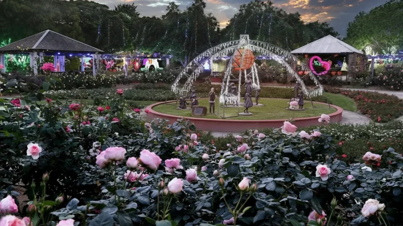 Hunter Valley Gardens(1)