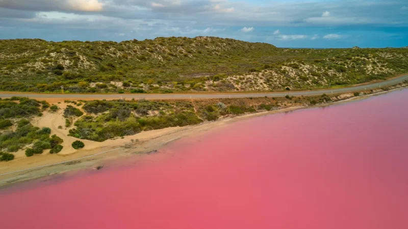 Hutt Lagoon (Pink Lake)(5)