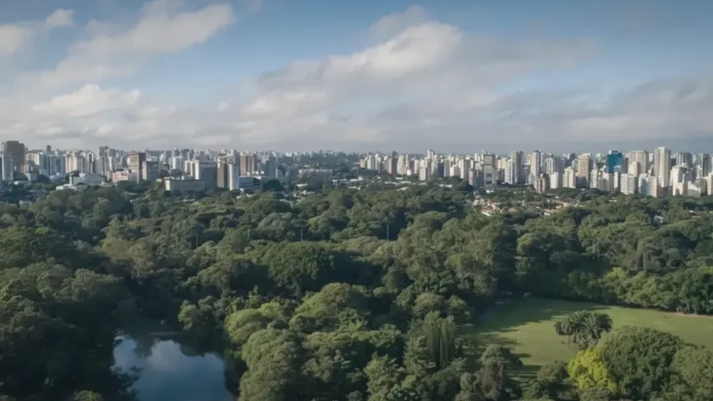 Ibirapuera Park(4)