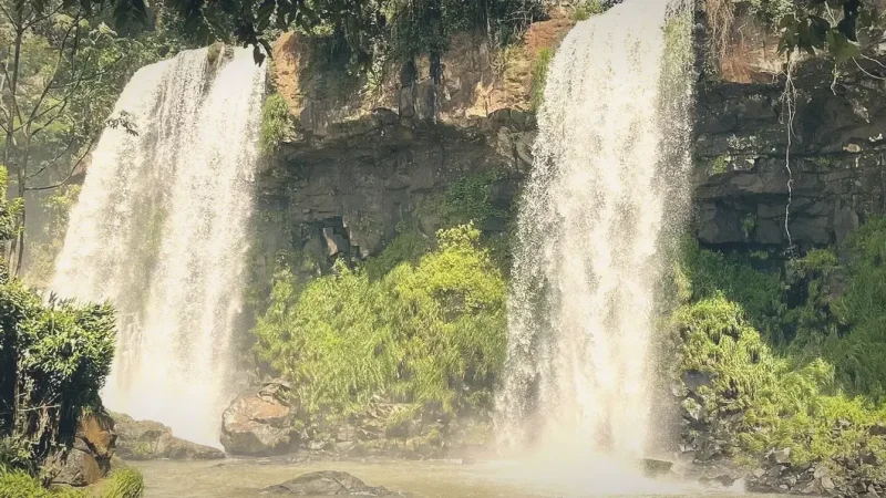Iguaçu National Park – Protected rainforest area(3)