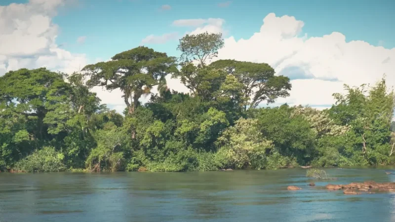 Iguazu River – Scenic river landscapes(2)