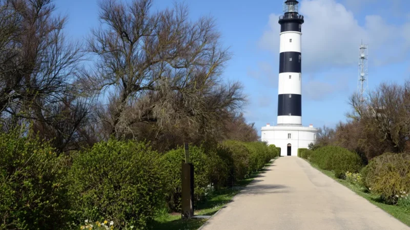 Île d’Oléron – Large island with beaches and nature areas(5)