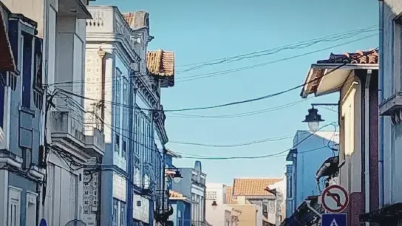Ílhavo Town Center(4)
