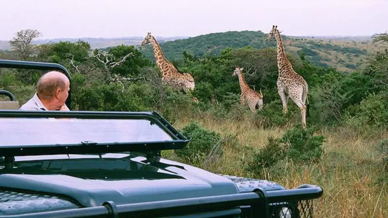 Inkwenkwezi_Private_Game_Reserve_тАУ_Nearby_wildlife_01