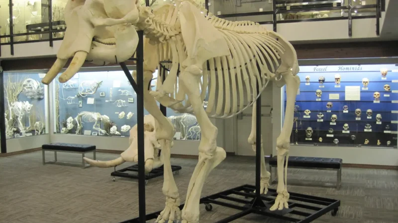 Interpretive_Centre_тАУ_Wildlife_information_01