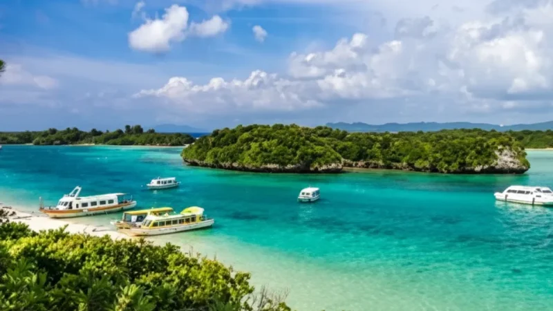 Ishigaki Port (gateway harbor)(6)