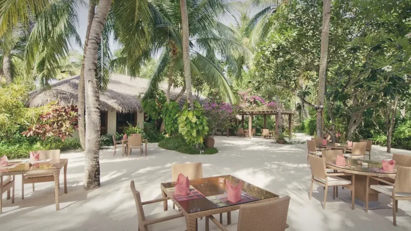 Island Café Corner – small cafés & snacks(2)