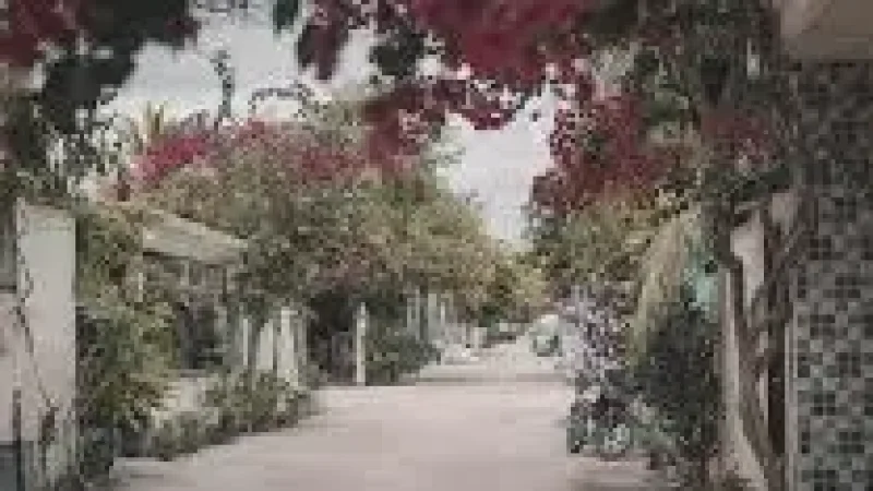 Island Streets – Explore a simple local Maldivian(1)