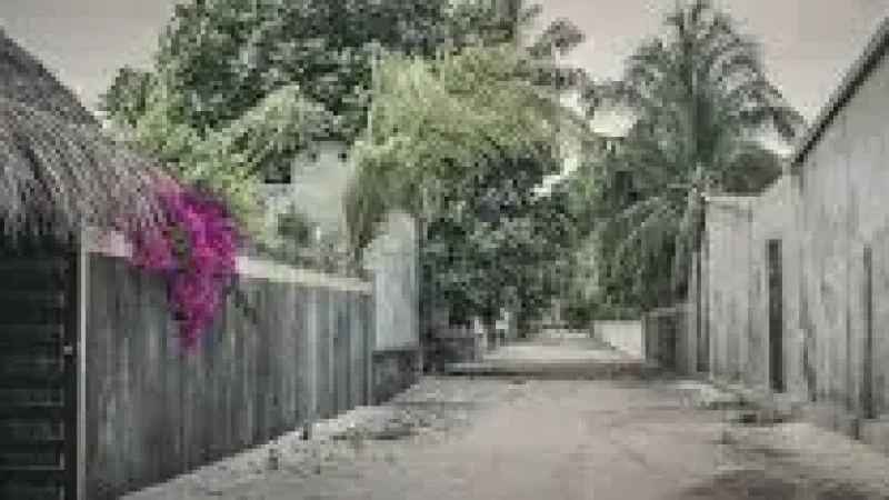 Island Streets – Explore(1)