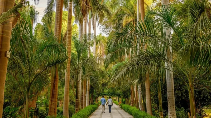 Island Walking Paths – Scenic Routes(2)