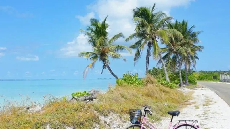 Island_Cycling_Roads_–_Flat_scenic_routes__03
